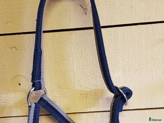 Övrig Hästutrustning hästutrustning till salu: Blå grimma i Nora - Annons 7