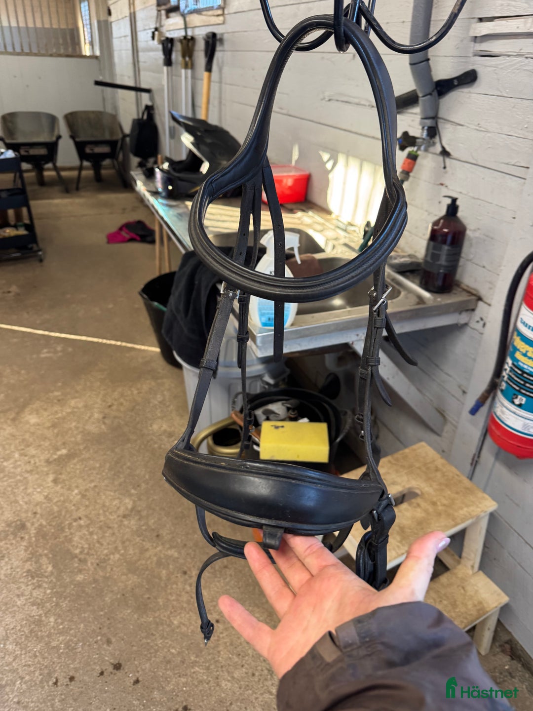 Träns hästutrustning till salu: Dyon difference träns i Lyckeby - Annons 1