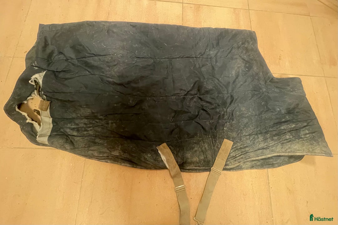 Täcken hästutrustning till salu: Innetäcke i Tyresö - Annons 2