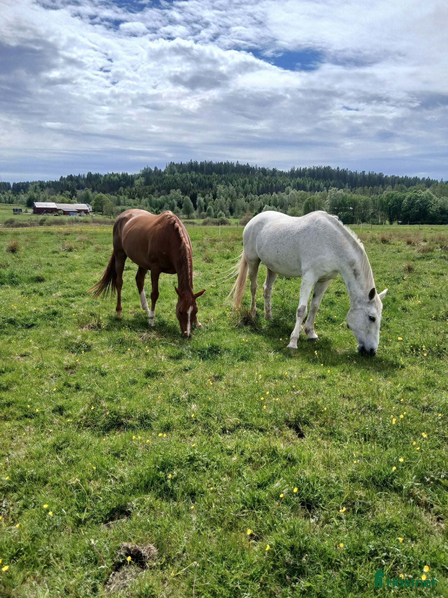  stallplats Stallplats Lilla Edet - Annons 2