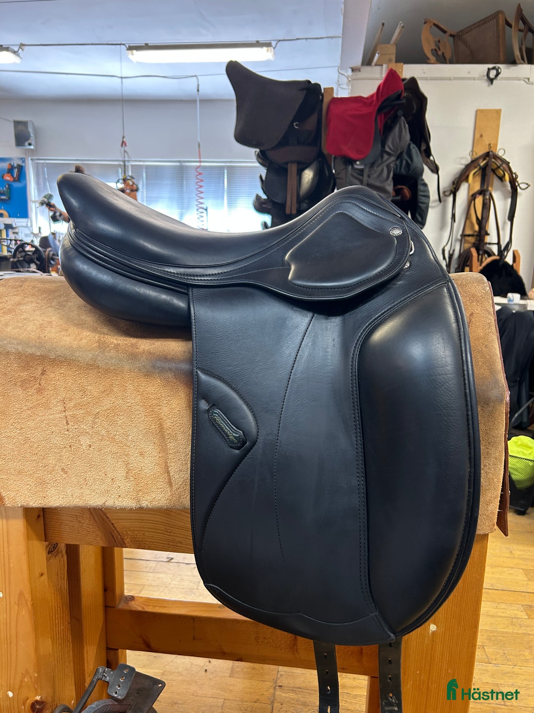 Sadlar hästutrustning till salu: Amerigo DJ i Göteborg - Annons 2