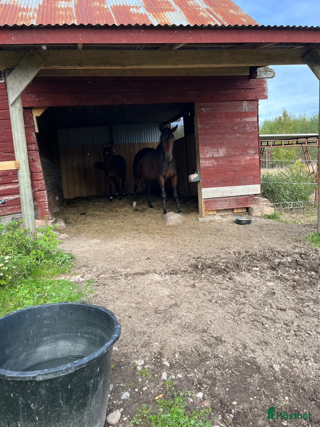  stallplats finnes: Lösdriftplats - Annons 2