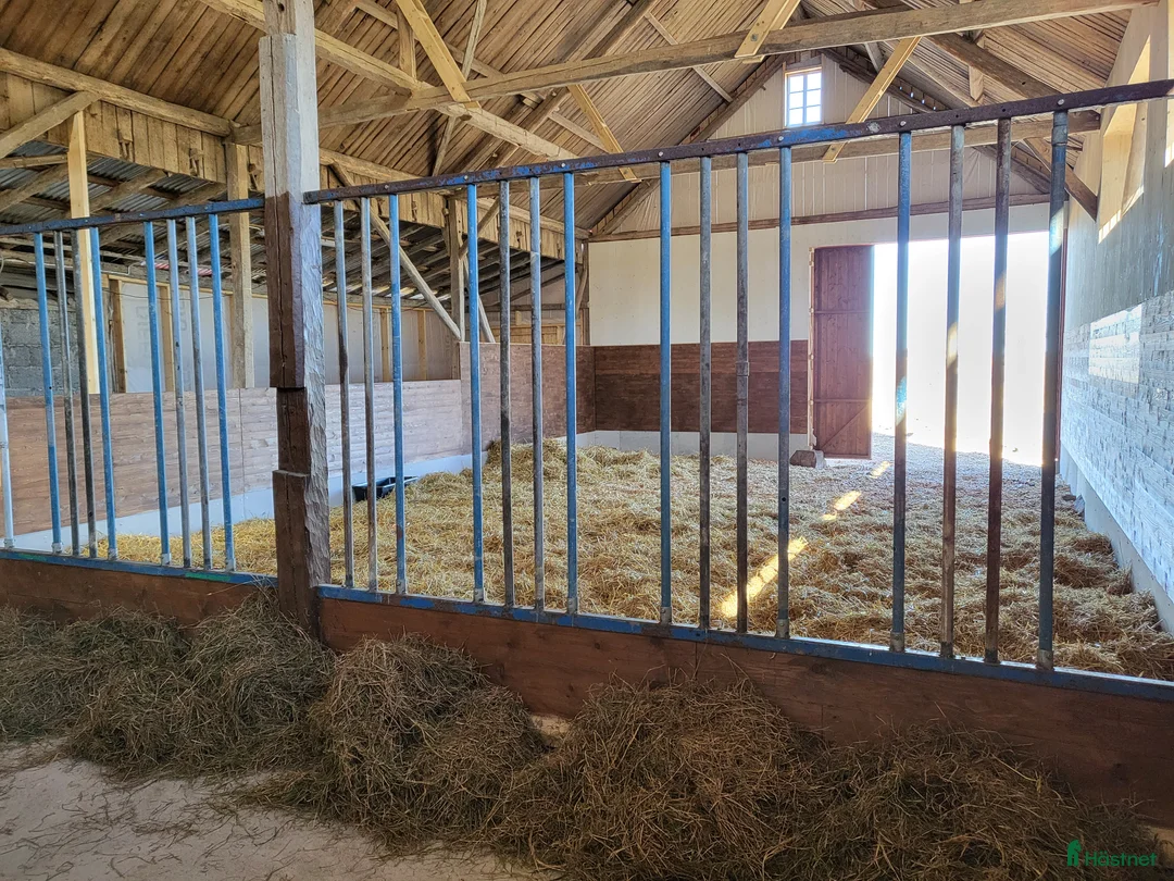  stallplats finnes: Lösdrifts- & boxplatser! - Annons 5