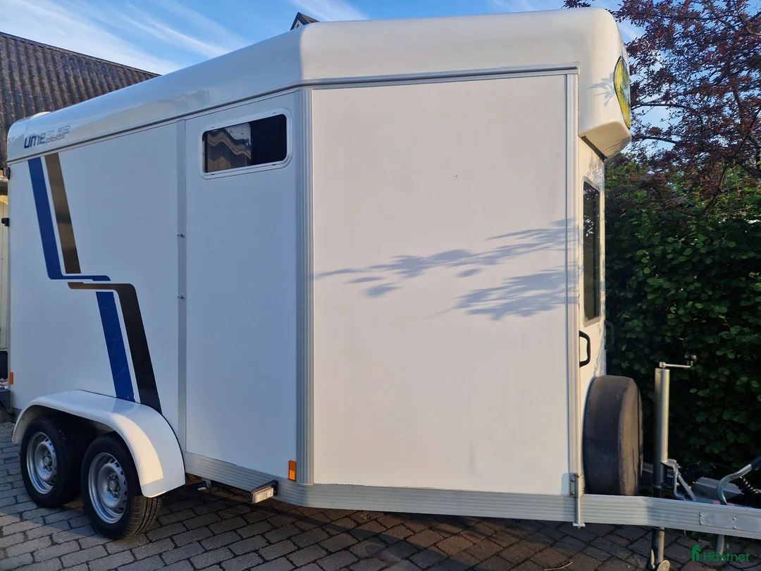Hästtransporter  fordon & transport till salu: Fräsch Umesläp B60 i Luleå - Annons 2