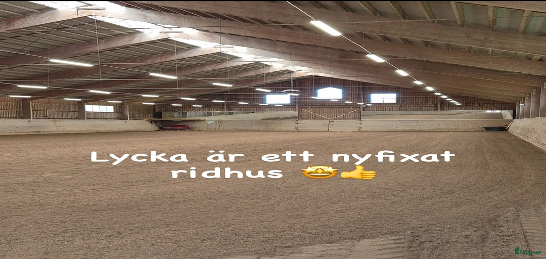 Galleribild {{count}}