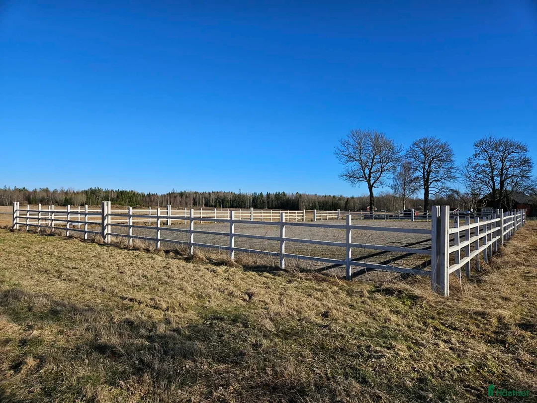  stallplats finnes: Helinackorderingsplats finnes i Frändefors - Annons 2