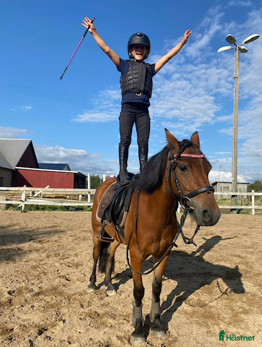 Allround hästar till salu: Bästa barnponnnyn - Annons 1