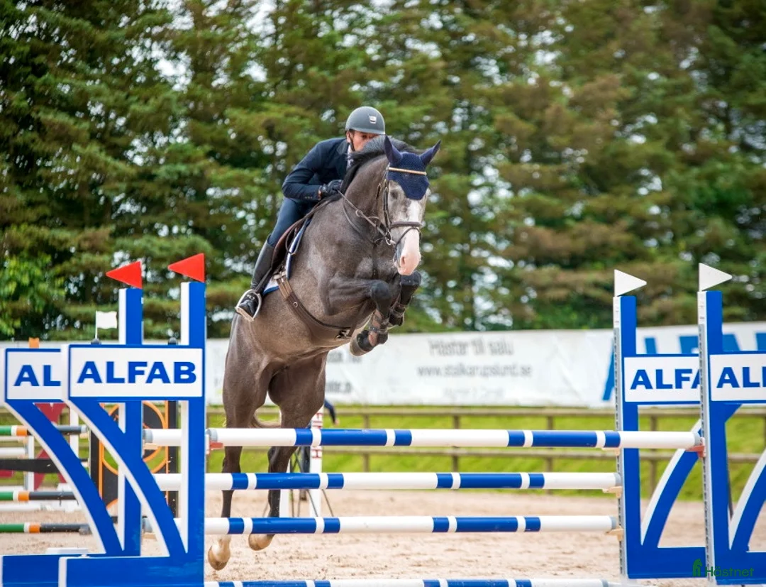 Galleribild {{count}}