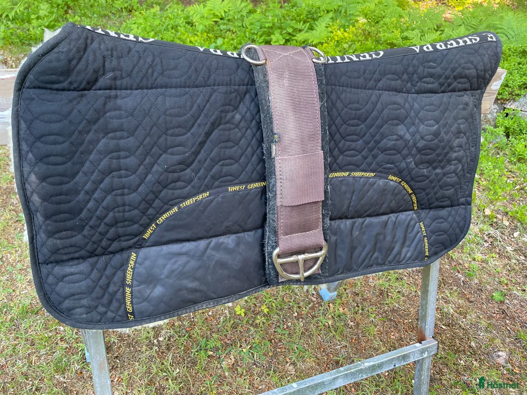 Sadlar hästutrustning till salu: Westernsadel Garland Golden Quarterhorse 16” - Annons 5