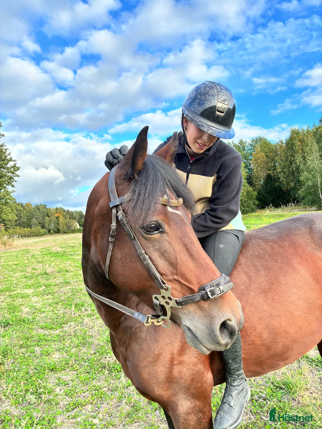 Hoppning hästar till salu: Fin ponny med kapacitet  - Annons 2