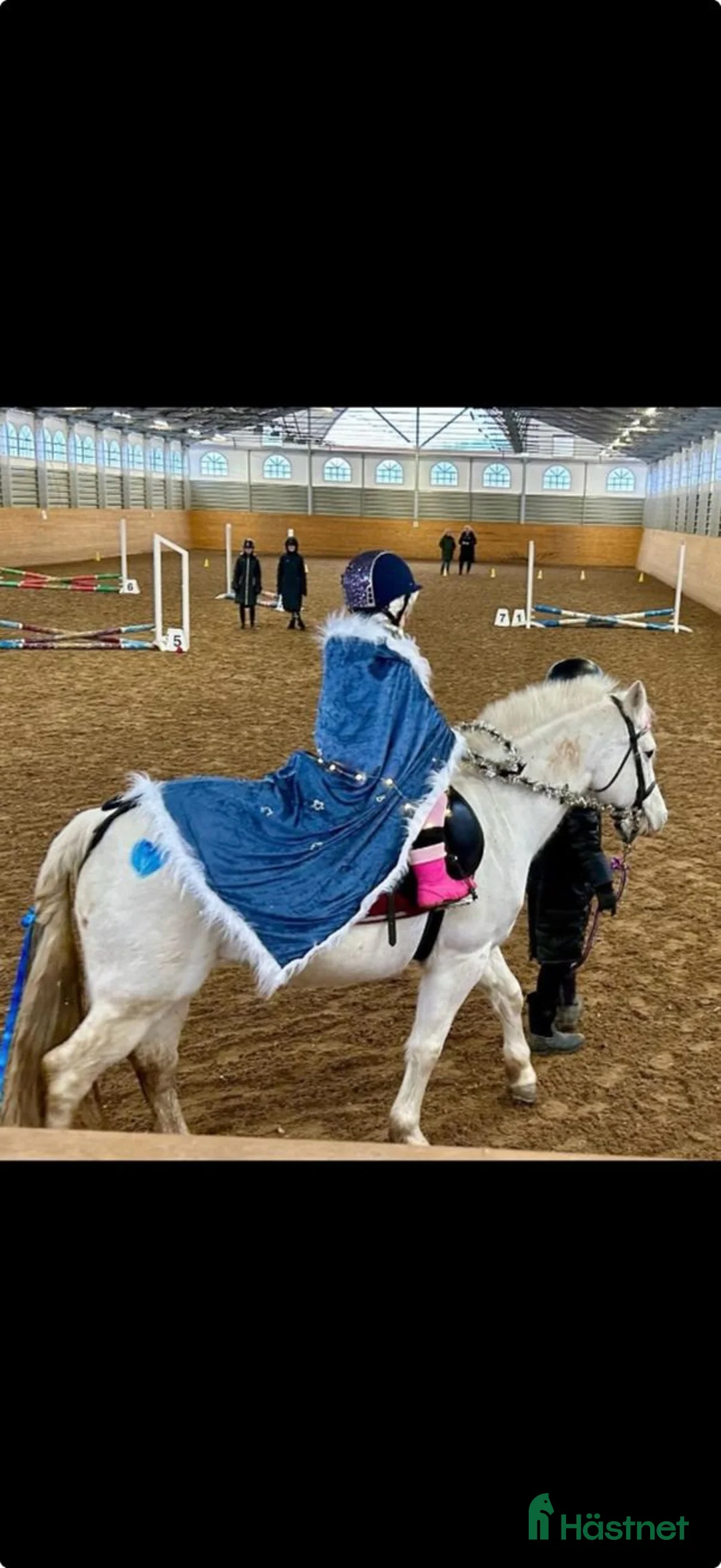 Working Equitation hästar till salu: 2 D ponny från Ridskola, Voltige, Para - Annons 4