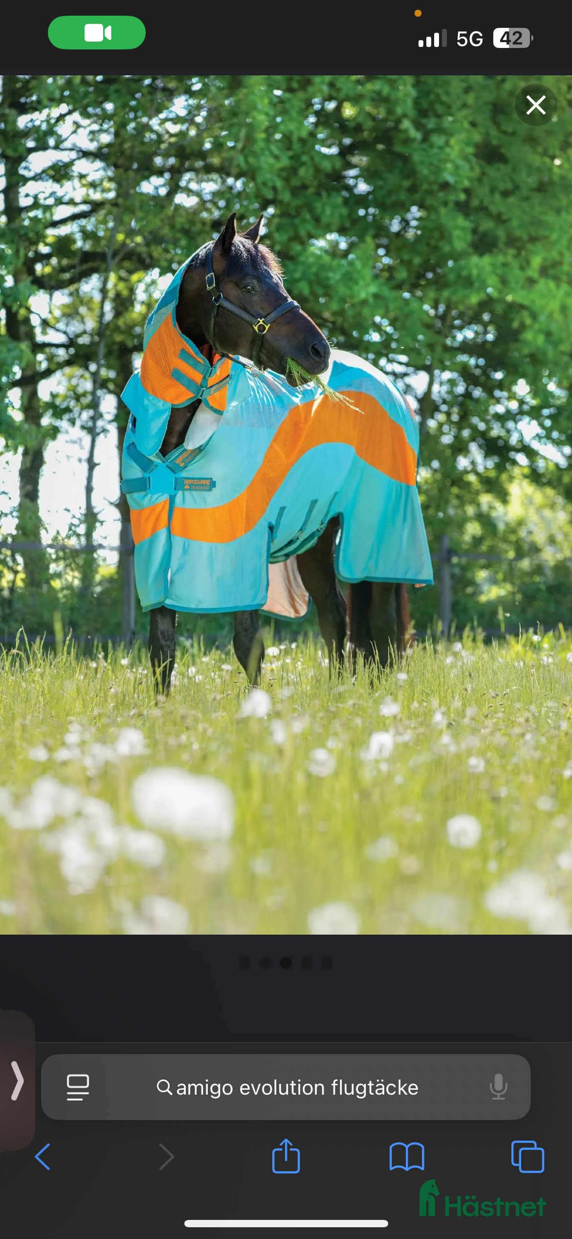 Täcken hästutrustning Amigo flugtäcke - Annons 14