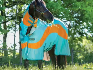 Täcken hästutrustning Amigo flugtäcke - Annons 14