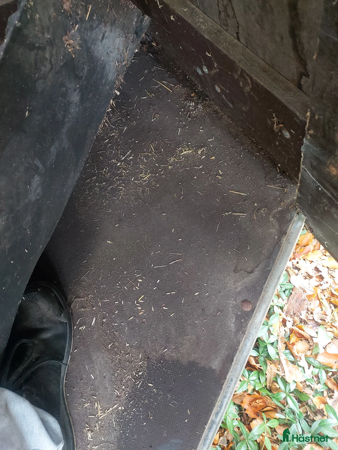 Hästtransporter  fordon & transport till salu: Beg skivor i Visingsö - Annons 4