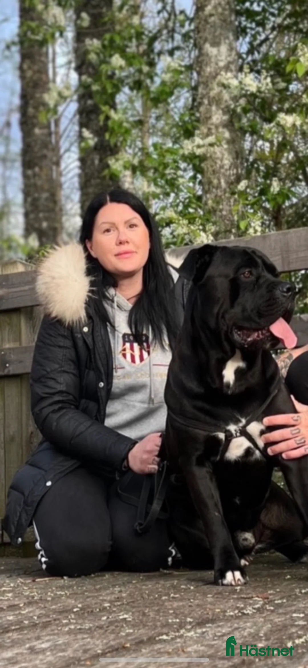 Galleribild {{count}}