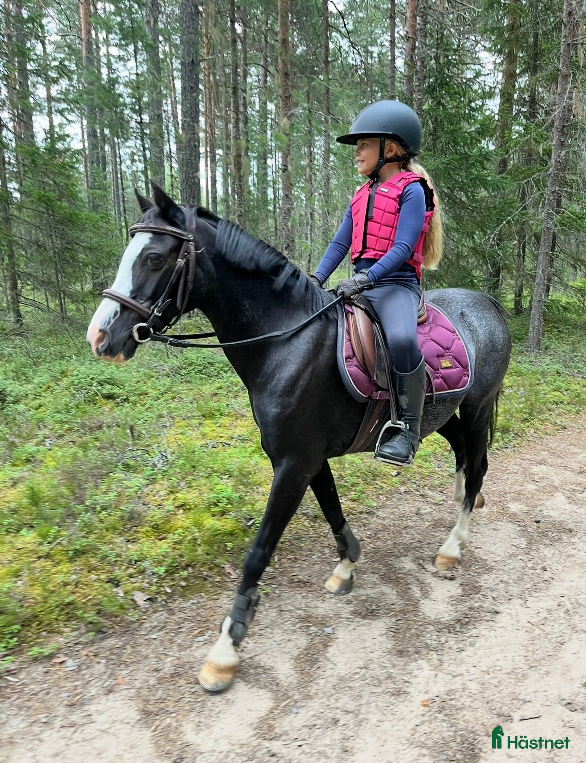  hästar Vacker ponny med utstrålning  i Hudiksvall - Annons 6