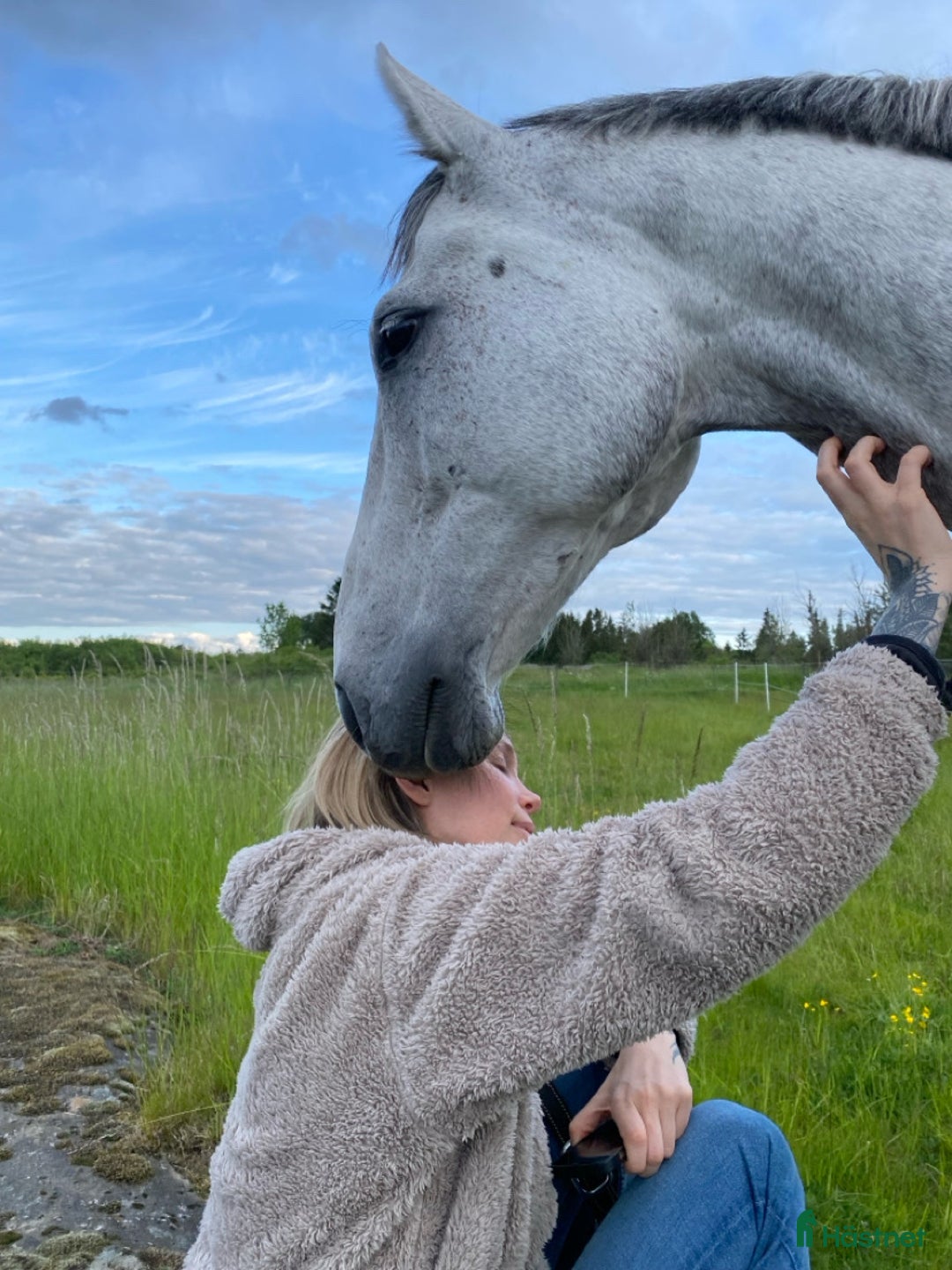 Allround hästar till salu: En hjärtehäst söker sin människa ✨ i Enköping - Annons 2
