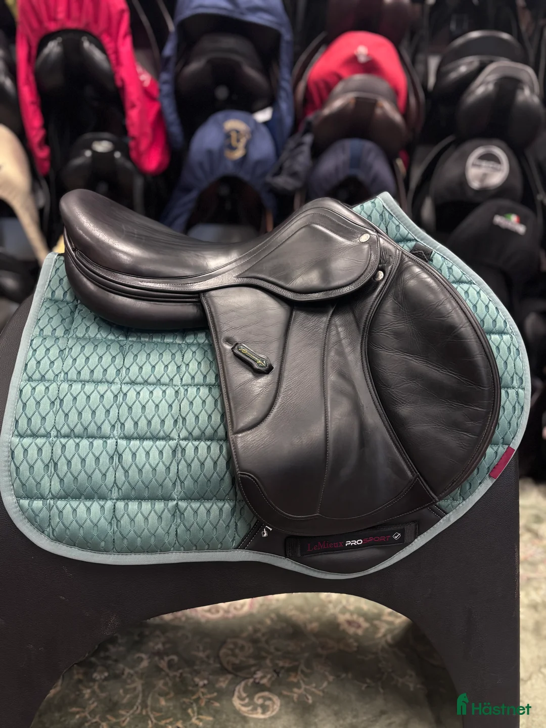Sadlar hästutrustning till salu: Amerigo Vega ✨ - Annons 2