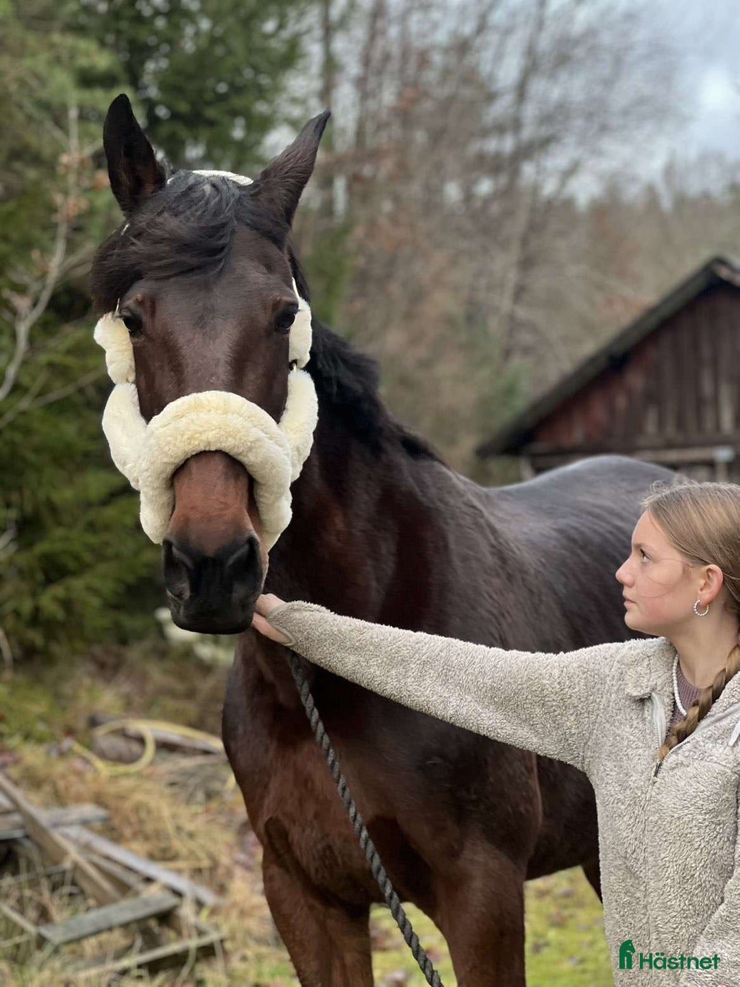 Allround hästar till salu: Mor & dotter häst i Trollhättan - Annons 4
