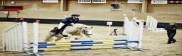 Allround hästar till salu: Underbar C ponny kan bytas mot maxad C el D ponny - Annons 1