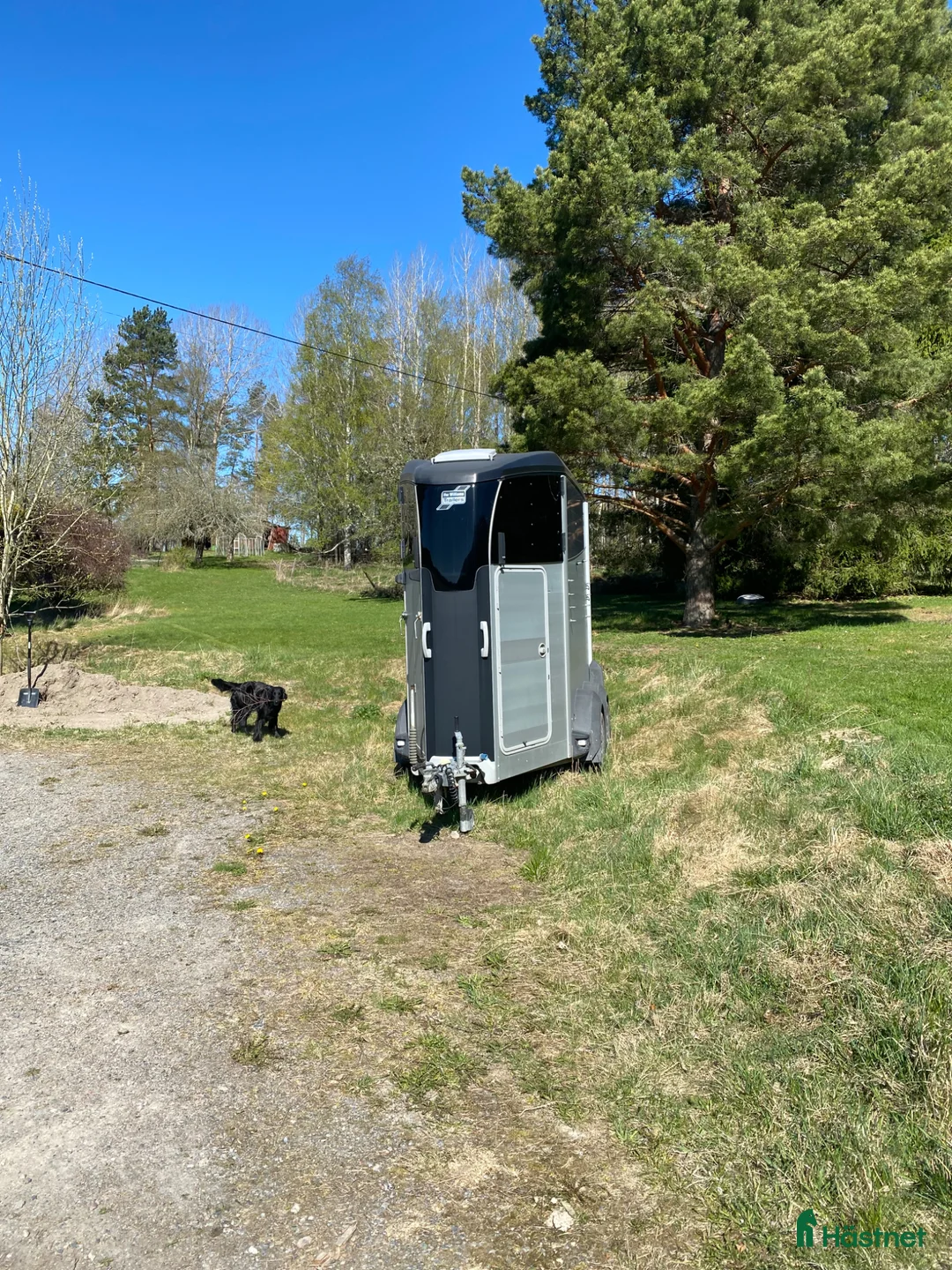 Hästtransporter  fordon & transport till salu: Bästa transporten  - Annons 1