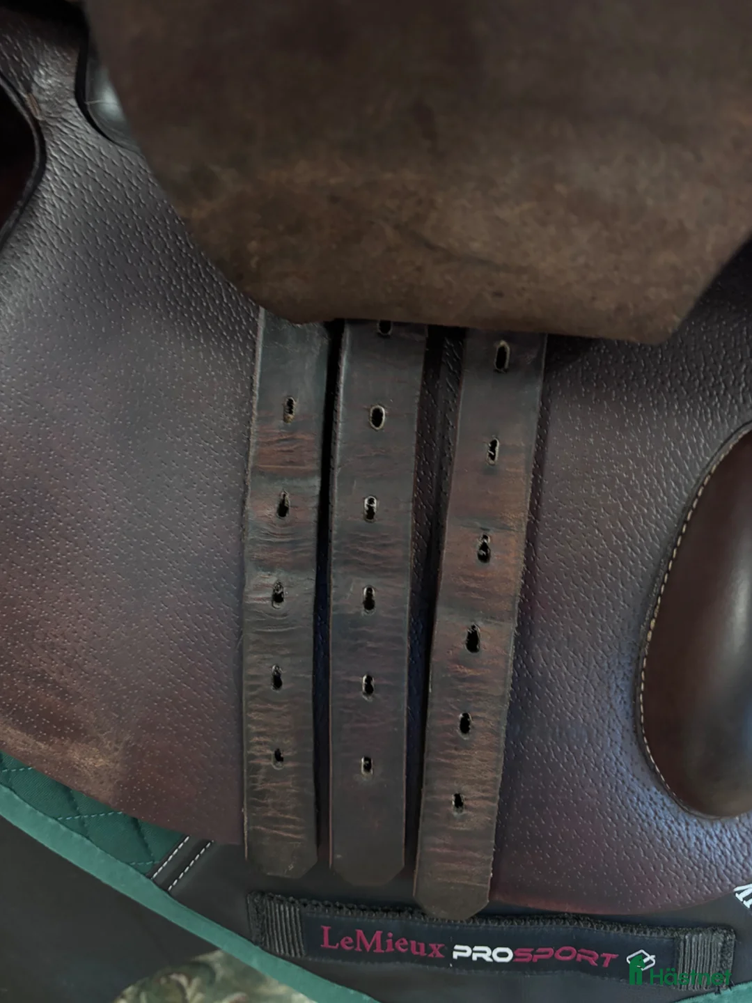 Sadlar hästutrustning till salu: Prestige Versailles ✨ - Annons 3