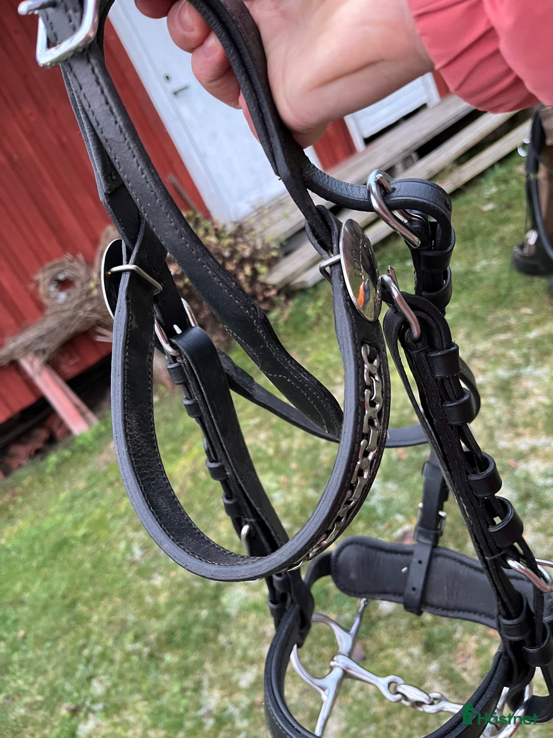 Körselar körning till salu: Parselar ponny Ideal i Västra Ämtervik - Annons 17