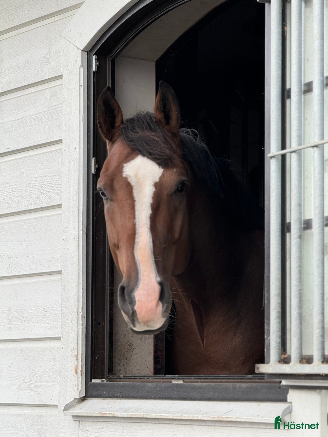  stallplats finnes: 1 eller 2 helinackoderingsplatser erbjudes i Vallda - Annons 1