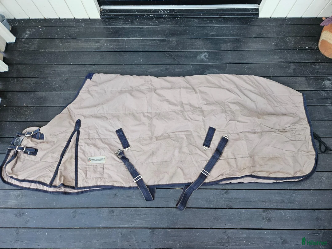 Täcken hästutrustning till salu: Beige stalltäcke - Annons 1