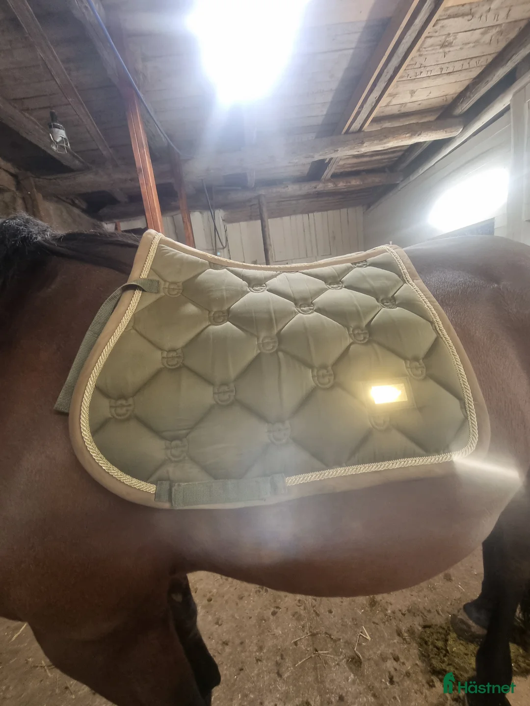 Schabrak & Vojlockar hästutrustning till salu: Säljer Es i Viskafors - Annons 1