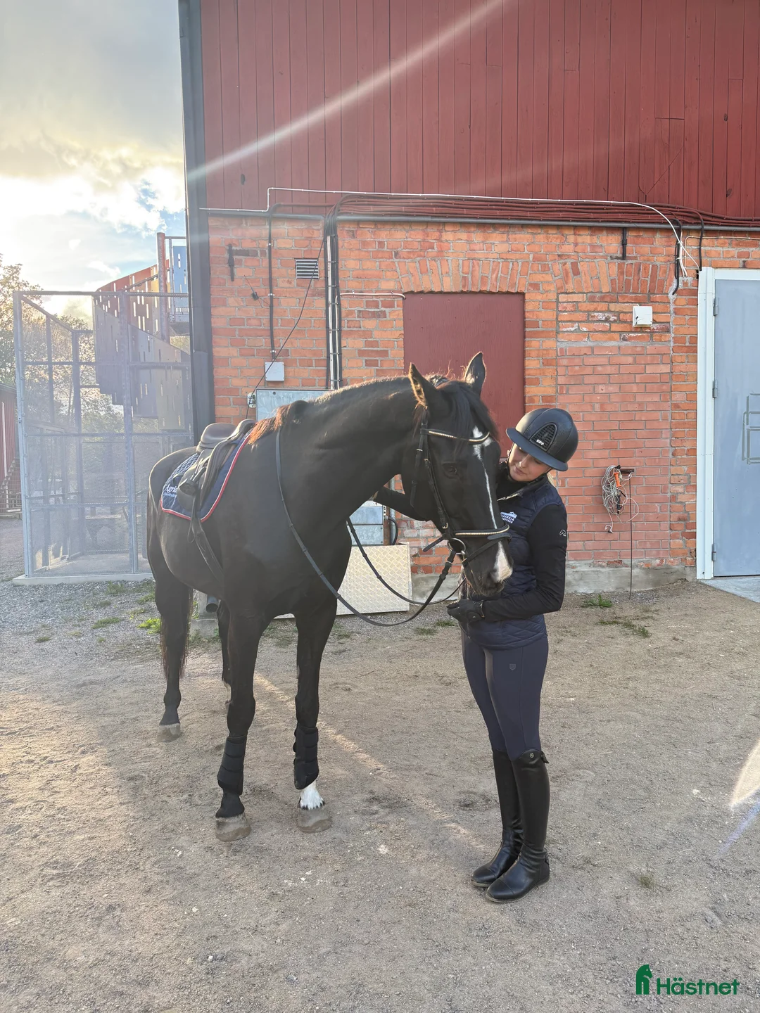 Galleribild {{count}}