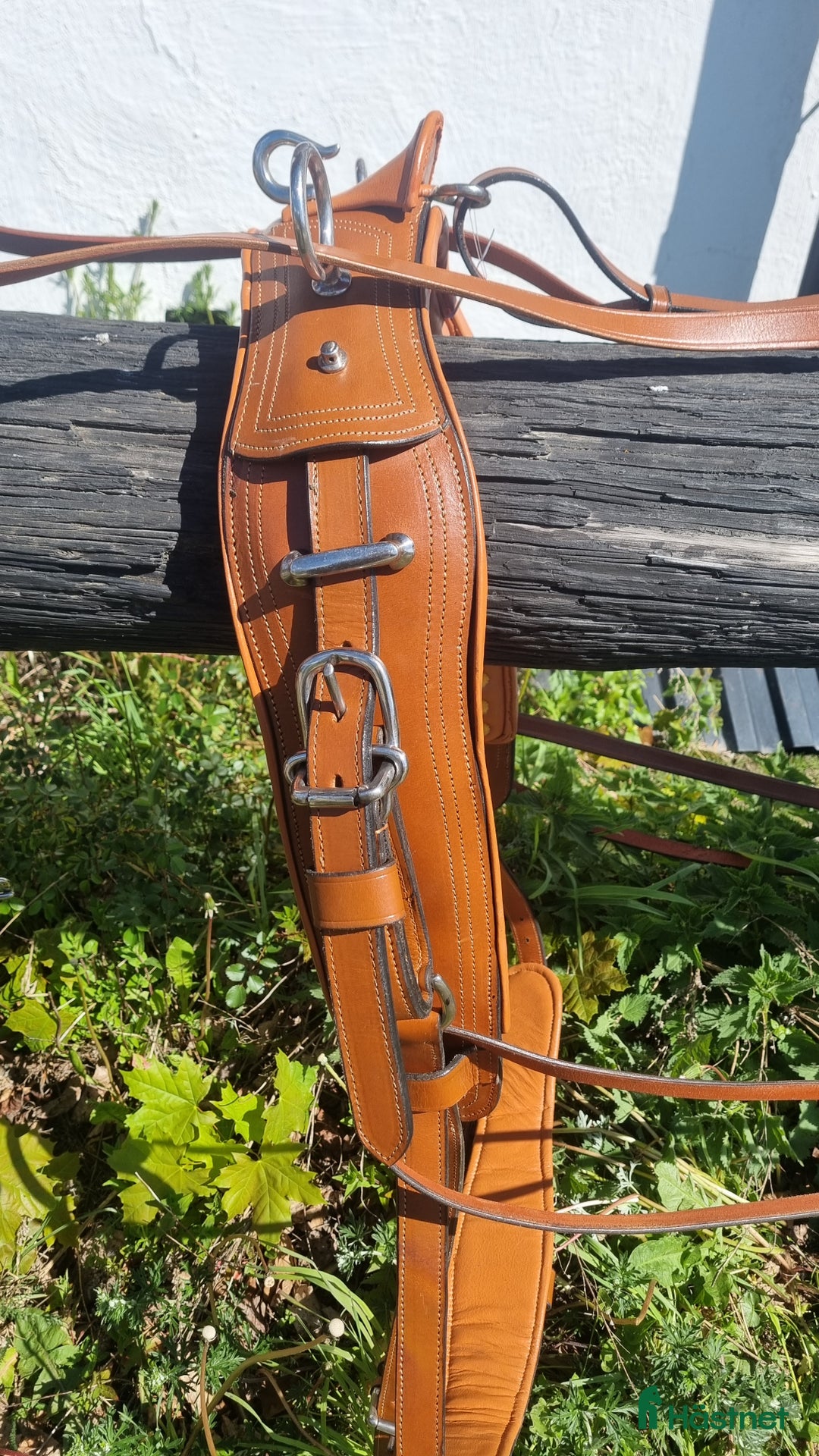 Körselar körning till salu: Cognac färgad bröstsele X-full i Eskilstuna - Annons 4