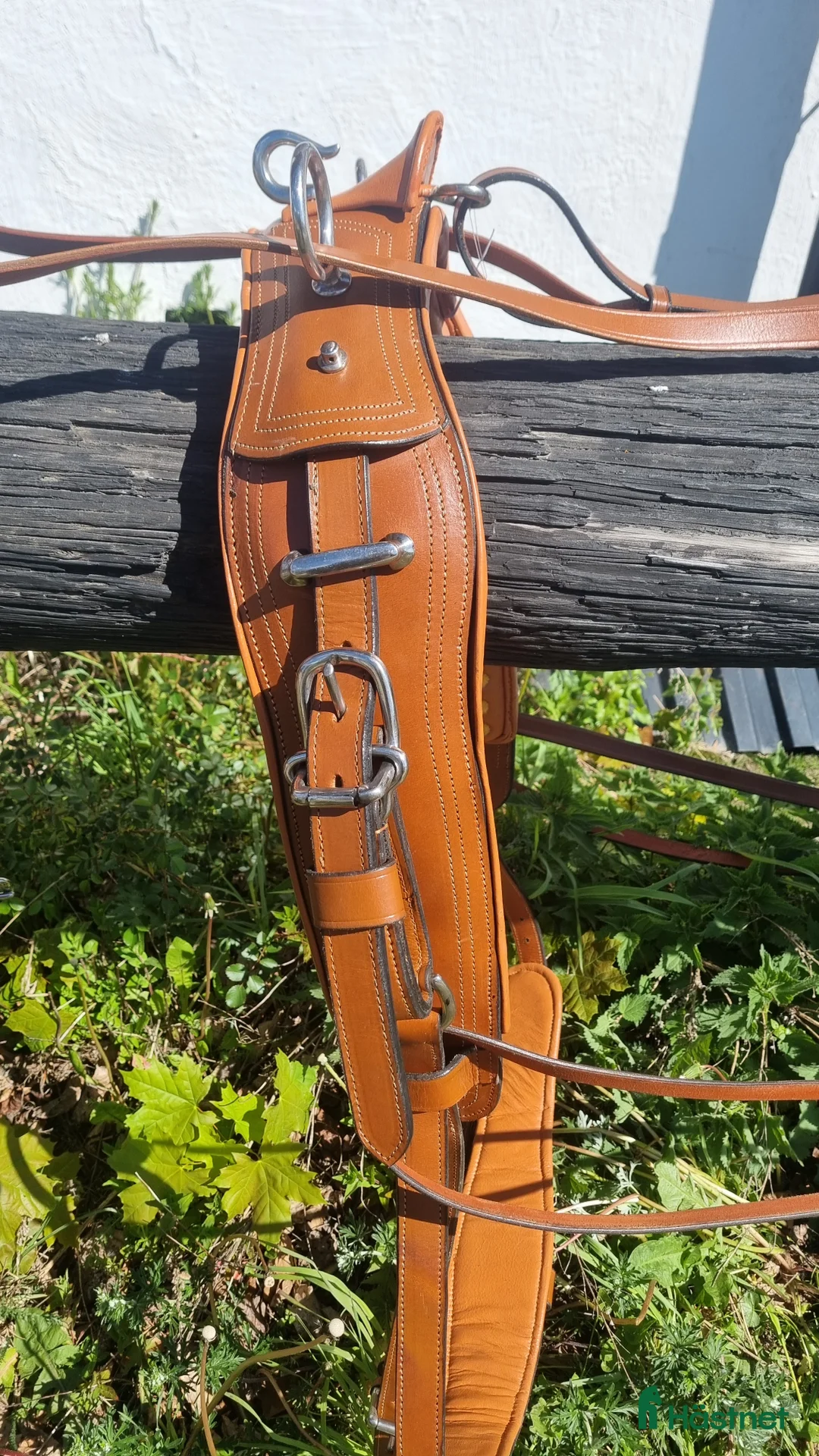 Körselar körning till salu: Cognac färgad bröstsele X-full i Eskilstuna - Annons 4