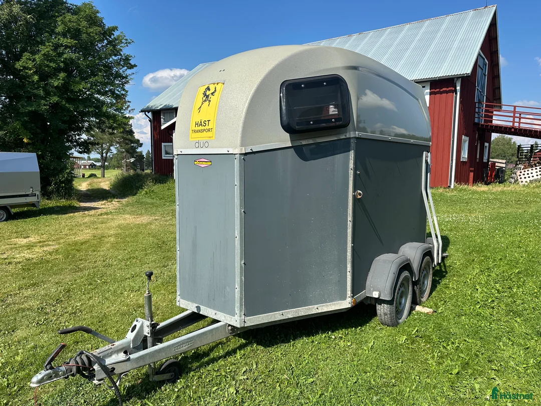 Hästtransporter  fordon & transport till salu: Böckmann Duo Esprit Årsmodell 2014 - Annons 1