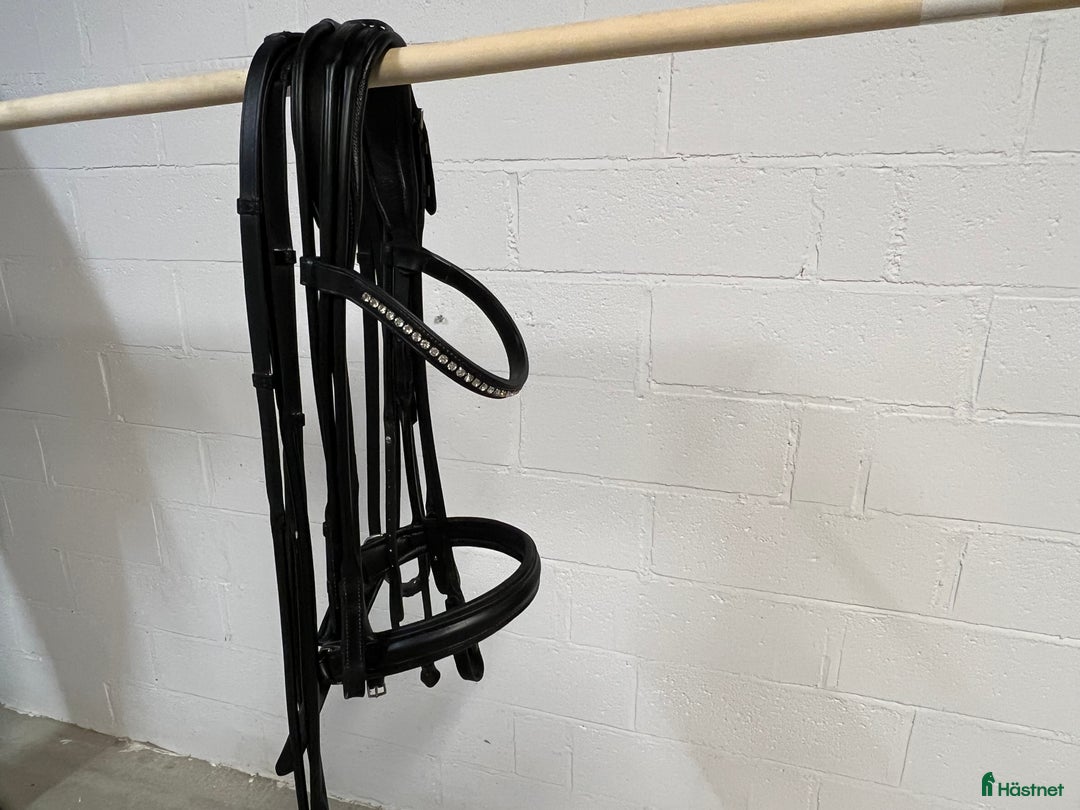 Träns hästutrustning till salu: Schumacher Kandar i Båstad - Annons 1