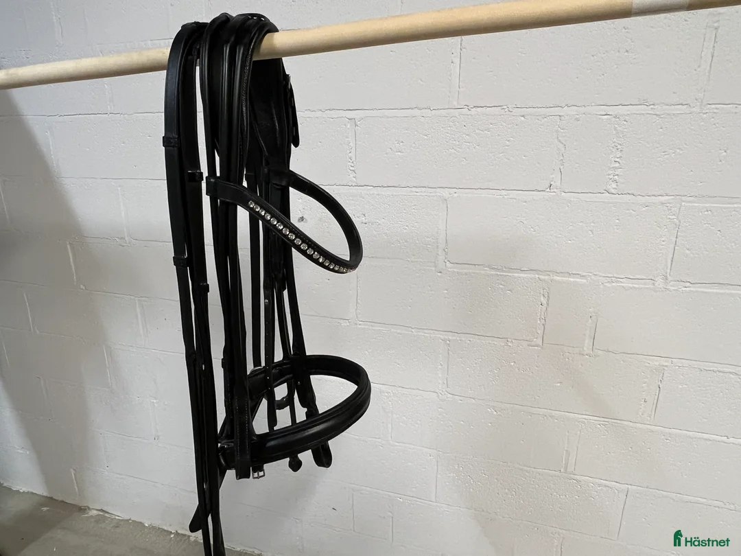 Träns hästutrustning till salu: Schumacher Kandar i Båstad - Annons 1