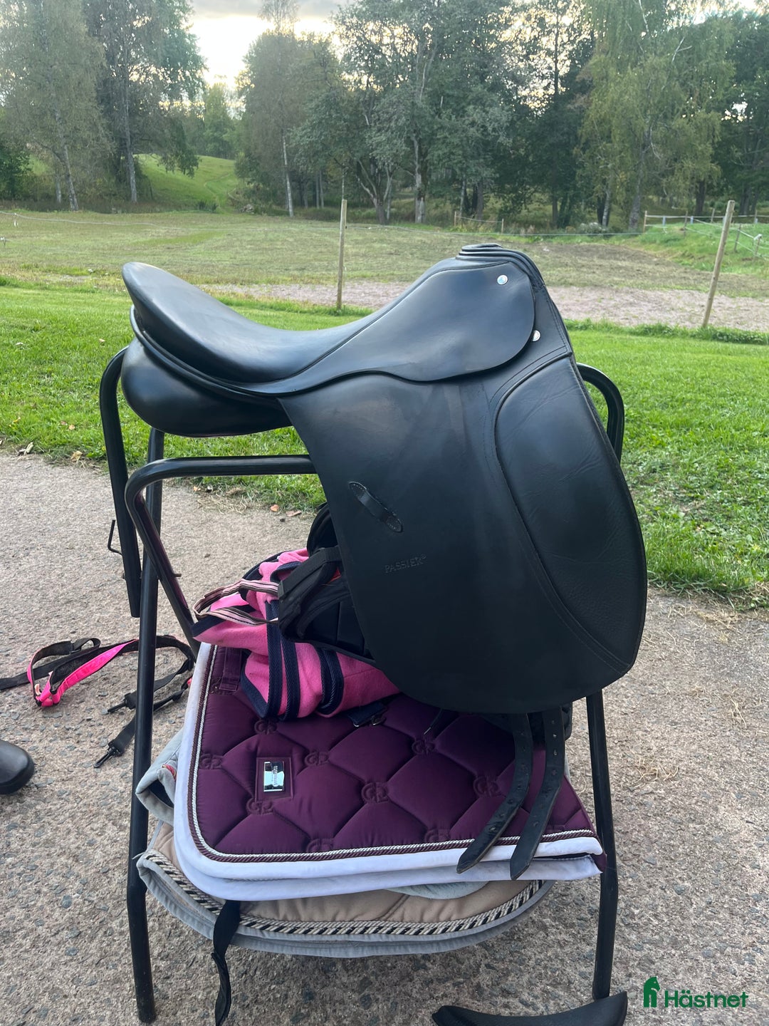 Sadlar hästutrustning till salu: Passier sadel i Eksjö - Annons 1