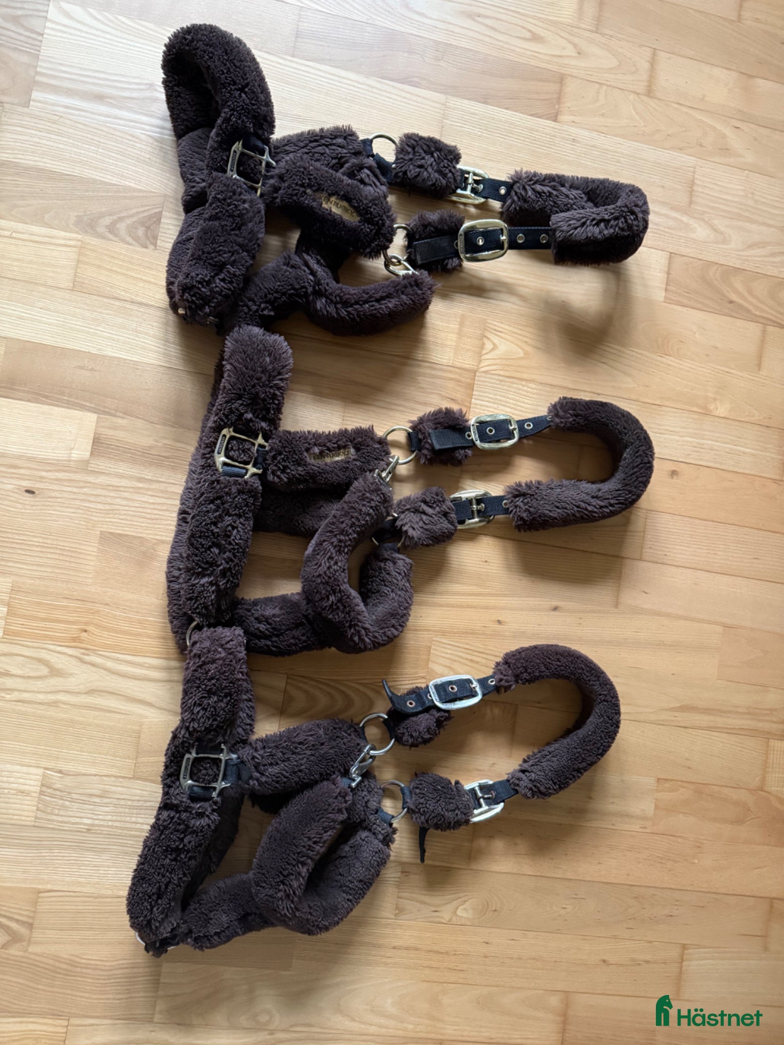 Övrig Hästutrustning hästutrustning Kentucky grimmor - Annons 7