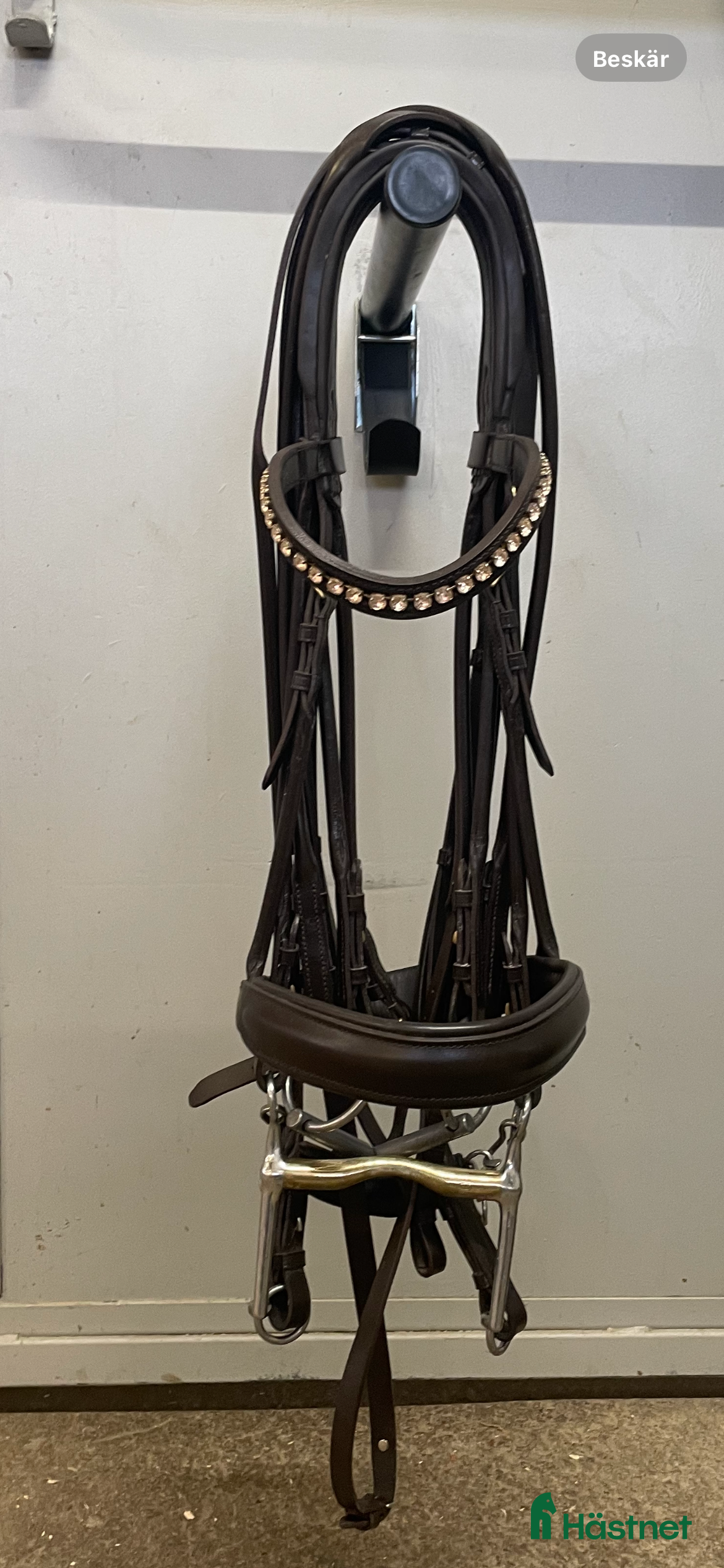 Träns hästutrustning Mycket fint OS München FG kandar  - Annons 9