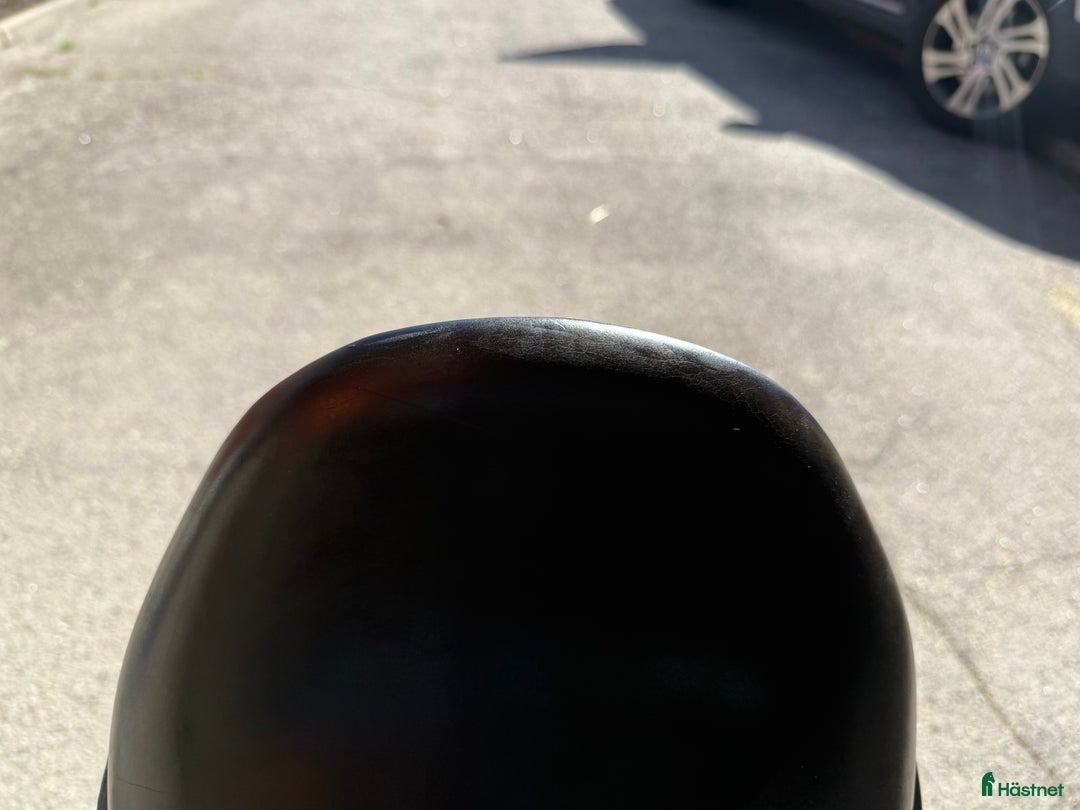 Sadlar hästutrustning till salu: Nyomstoppad Jaguar i Linköping - Annons 6