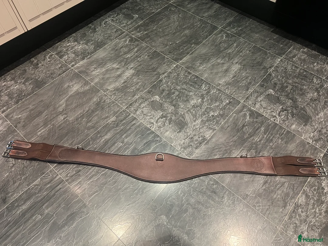 Träns hästutrustning till salu: Butet utrustning!! - Annons 3