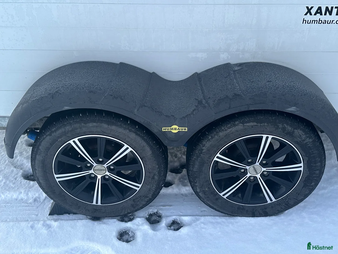 Hästtransporter  fordon & transport till salu: Humbaur hästtransport - Annons 2