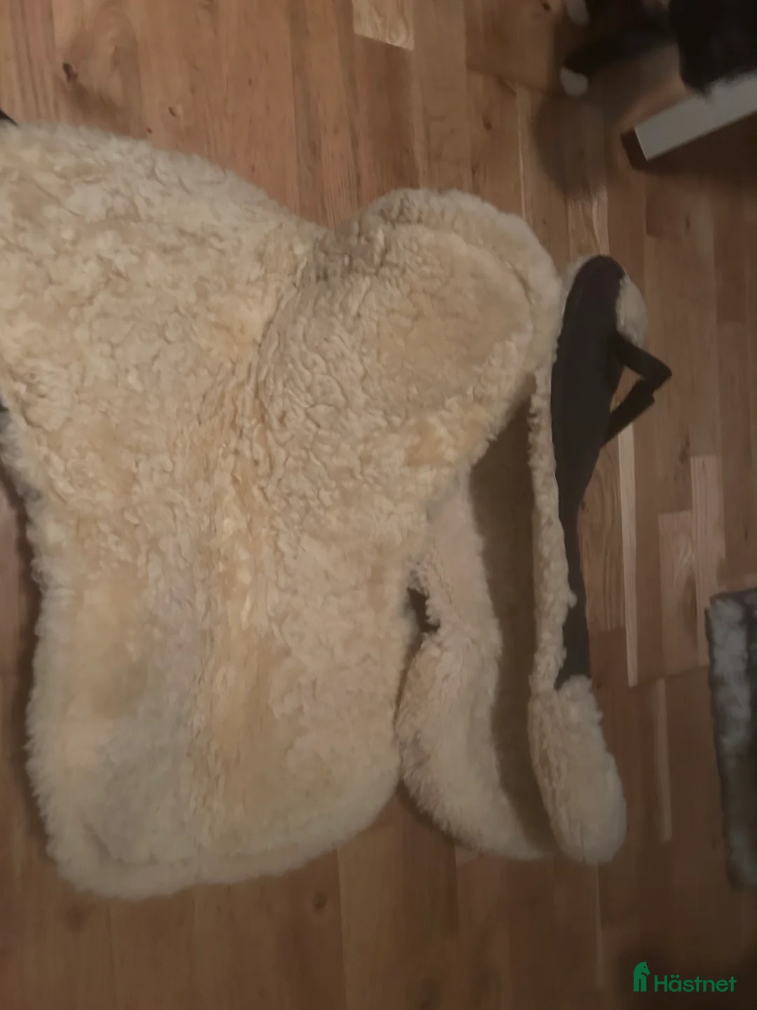 Schabrak & Vojlockar hästutrustning till salu: Fårskinnspaddar i Trelleborg - Annons 2