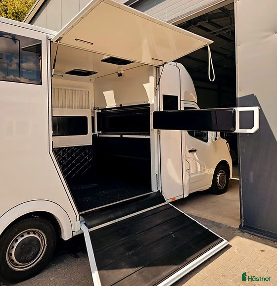 Hästlastbilar  fordon & transport till salu: Fabriksny! Renault Master,EP Horsebox - Annons 2