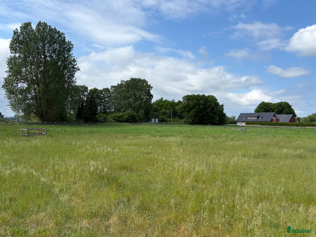  stallplats finnes: Lösdriftsplats vid Vattenriket – självskötsel i Kristianstad - Annons 1
