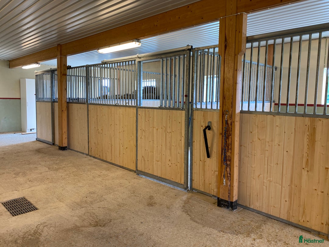  stallplats finnes: Lösdrift dräktiga ston  i Enköping - Annons 6