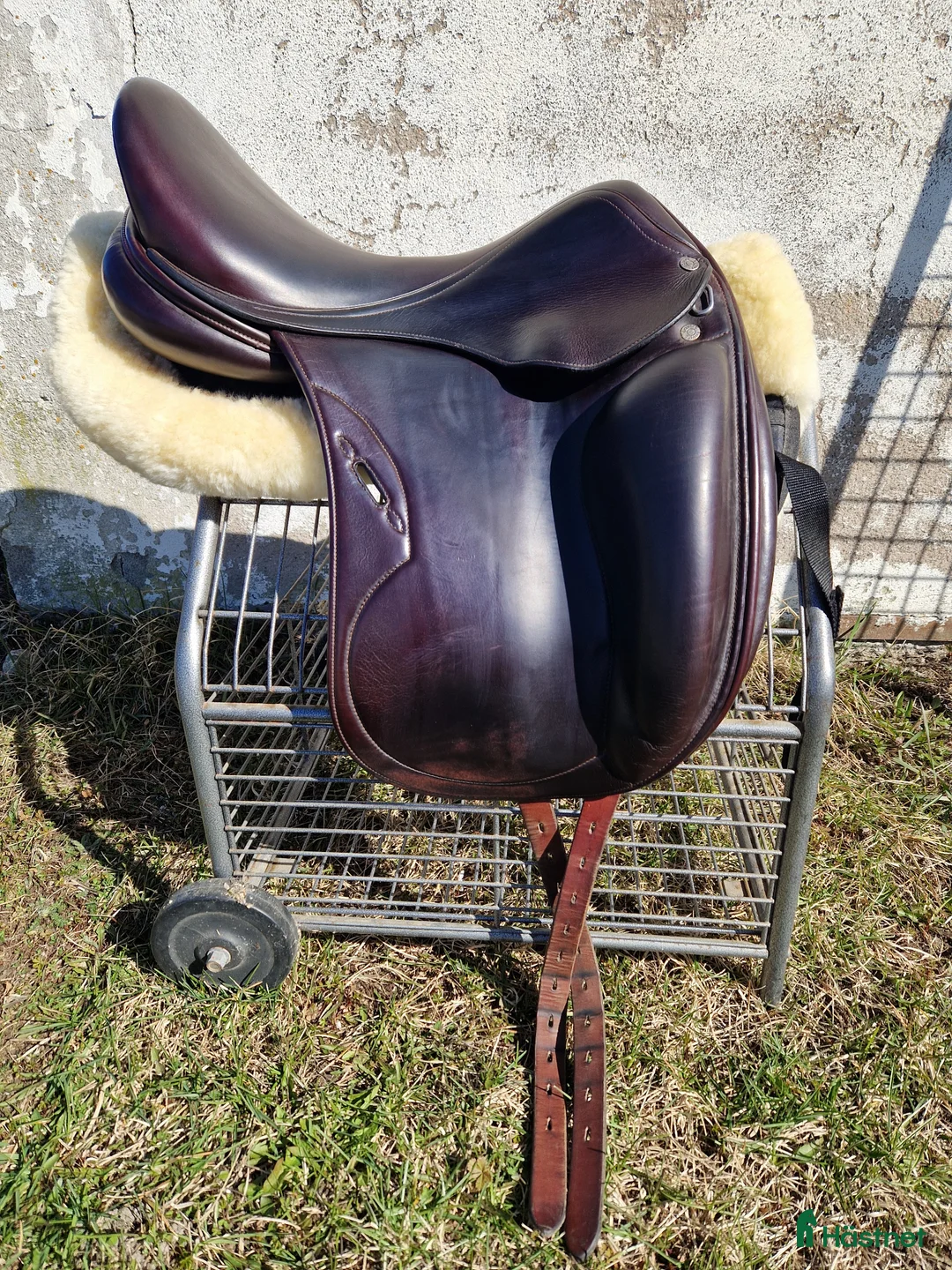 Sadlar hästutrustning till salu: Equipe Oracle - Annons 1