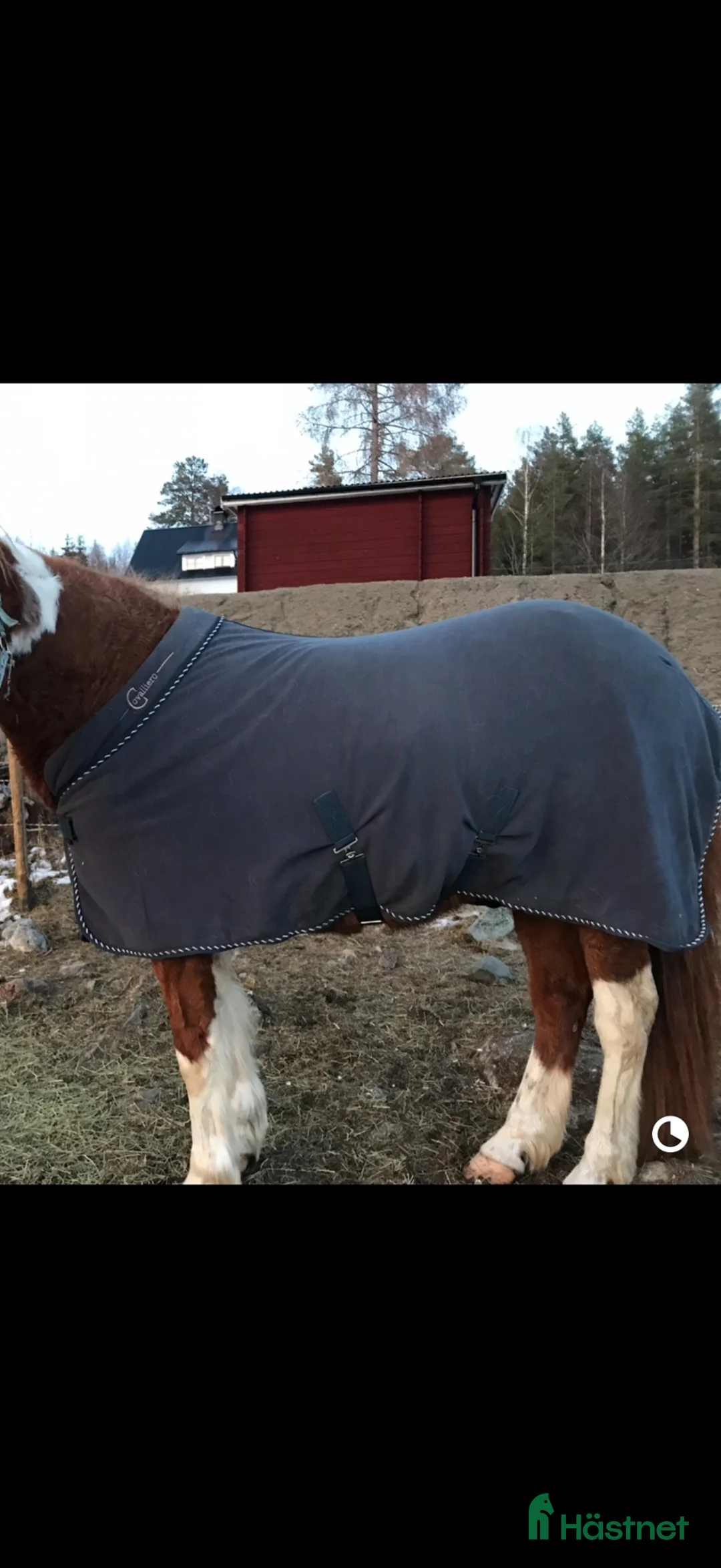 Täcken hästutrustning till salu: Fleecetäcke - Annons 2