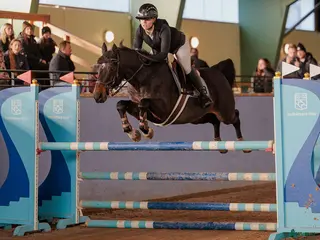 hästar Läromästare med hjärtat på rätt ställe! i Skövde - Annons 7