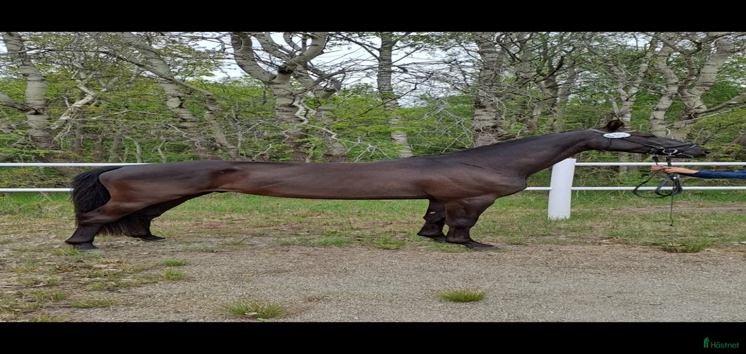 Galleribild {{count}}